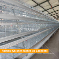 Tianrui New Raising Equipment A Type Automatic Broiler Cage System